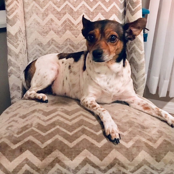 Meet your Posher, Hannah - Picture 3 of 6